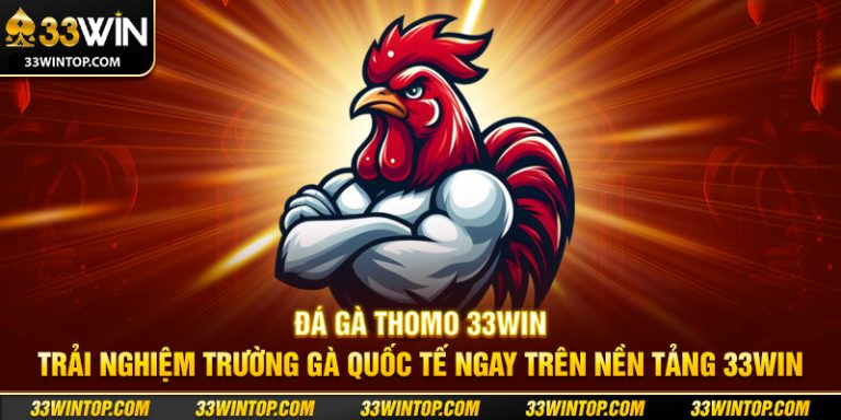 Đá Gà Thomo 33WIN: Trường Gà Quốc Tế Và Cách Chơi Hiệu Quả