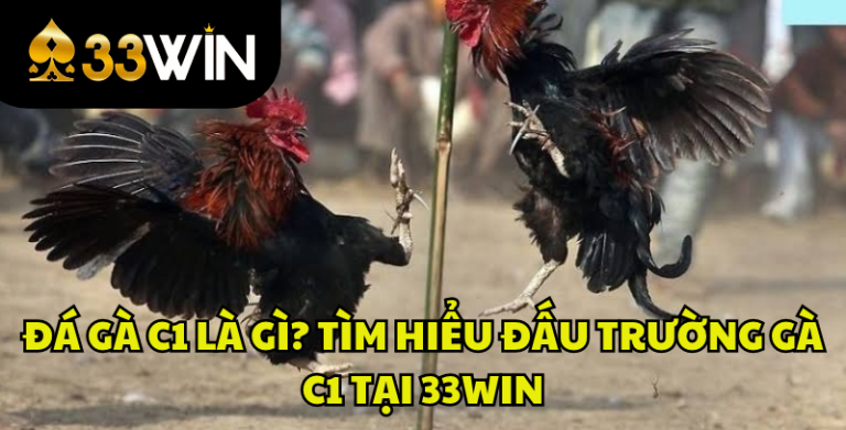 Đá Gà C1 Là Gì? Tìm Hiểu Đấu Trường Gà C1 Tại 33WIN