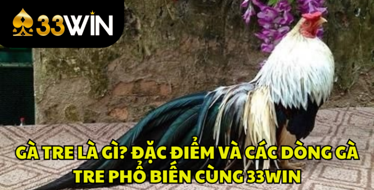 Gà Tre Là Gì? Đặc Điểm, Các Dòng Gà Tre Phổ Biến | 33WIN