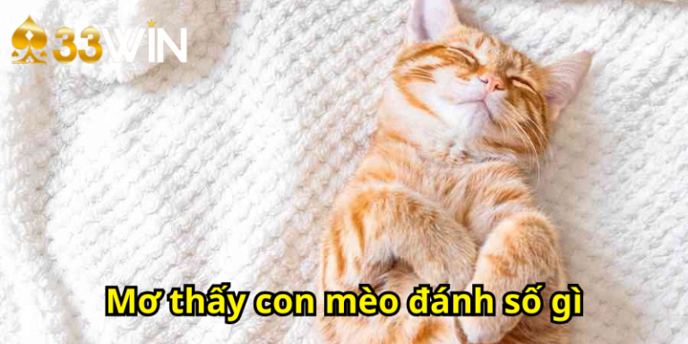 Mơ Thấy Mèo Là Điềm Gì? Giải Mã Chi Tiết Và Bộ Số Theo Giấc Mơ | 33WIN