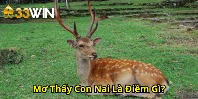 Mơ Thấy Con Nai Là Điềm Gì? Giải Mã Hình Ảnh Nai Trong Giấc Mơ | 33WIN