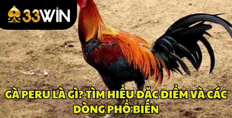 Gà Peru Là Gì? Đặc Điểm, Nguồn Gốc Và Cách Nhận Biết | 33WIN
